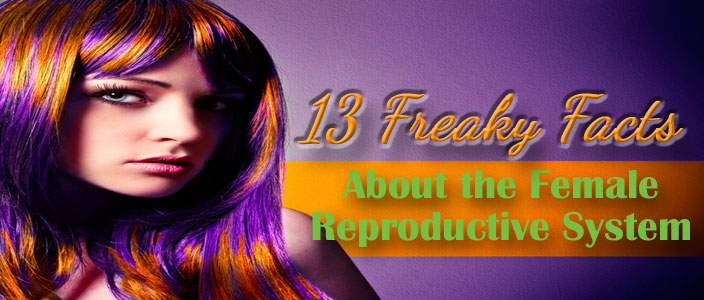 50 Insane Facts About the Female Body 